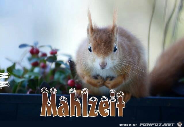 Mahlzeit Mahlzeit