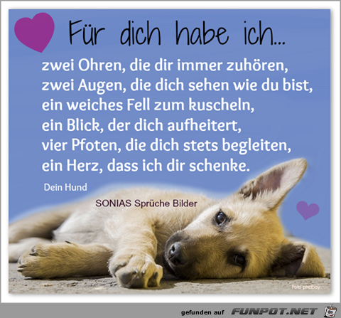 Fuer dich habe ich Fuer dich habe ich