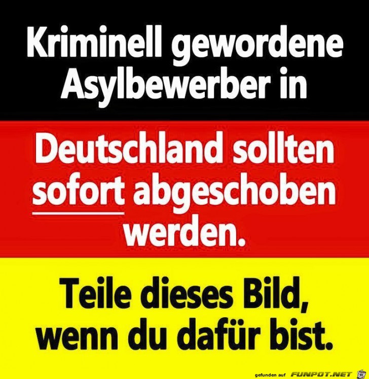 Kriminelle abschieben Kriminelle abschieben