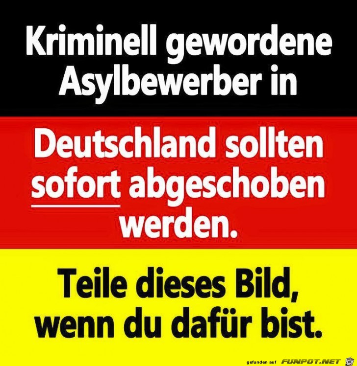 Kriminelle abschieben