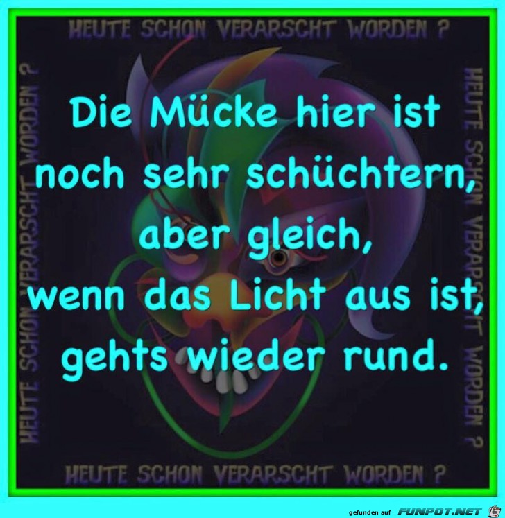 Die Muecke ist schuechtern