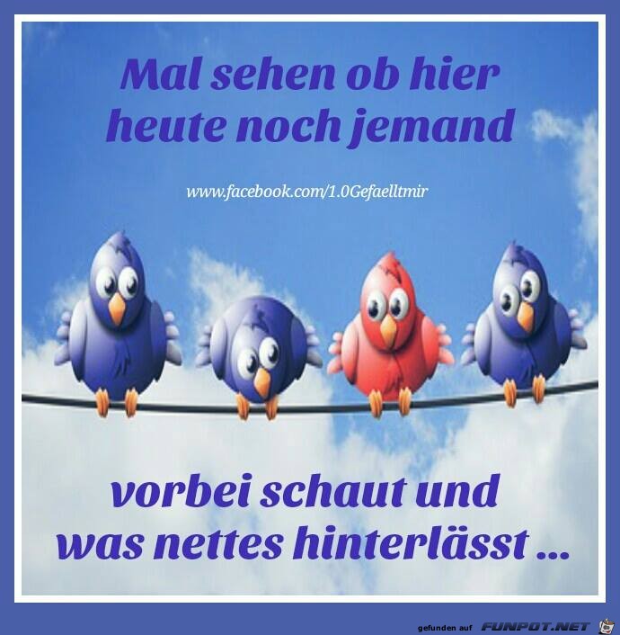Mal sehen Mal sehen