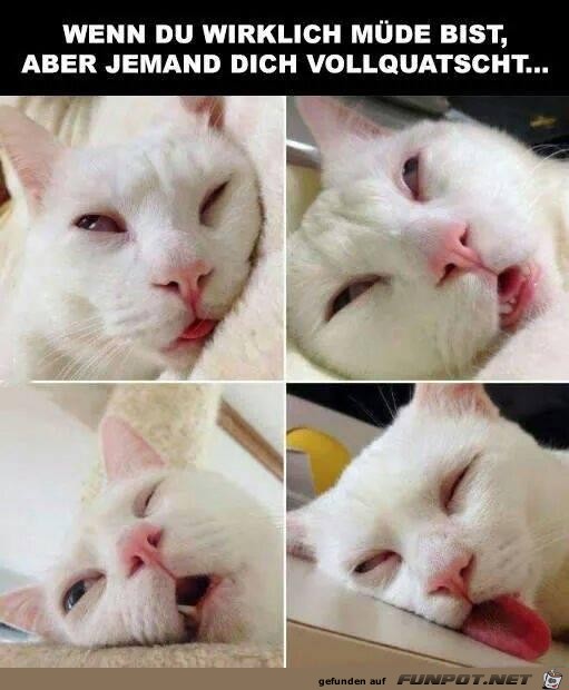 wenn du wirklich muede bist....... wenn du wirklich muede bist.......