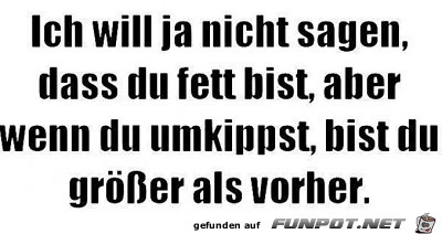 Ich will ja nicht sagen, dass du fett... Ich will ja nicht sagen, dass du fett...