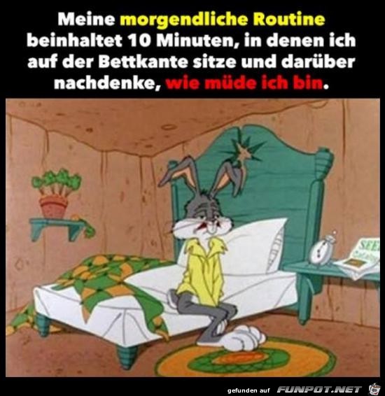 meine morgentliche Routine.....