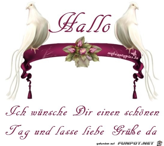 schoenen tag 46 schoenen tag 46