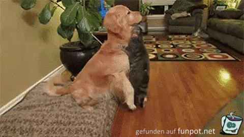 Das ist Liebe Das ist Liebe