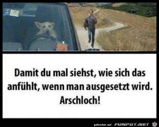 damit du mal siehst...... damit du mal siehst......