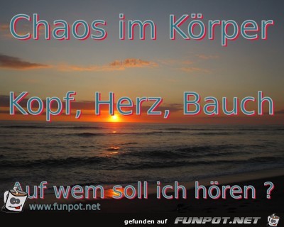 Bauch Bauch