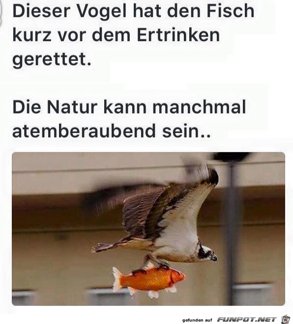 Die Natur kann manchmal Atemberaubend sein