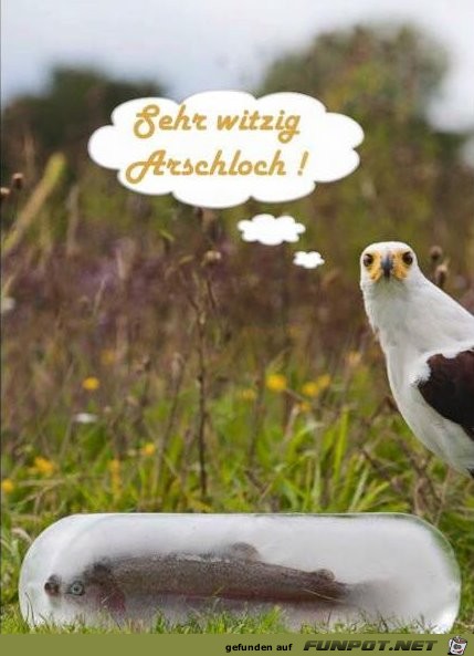 Veräppelt Veräppelt