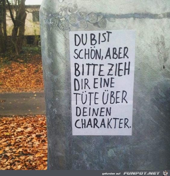 du bist