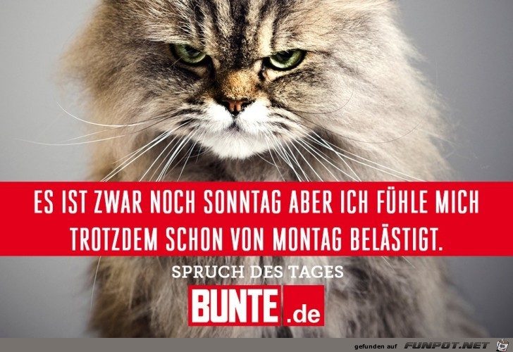 Montag Montag