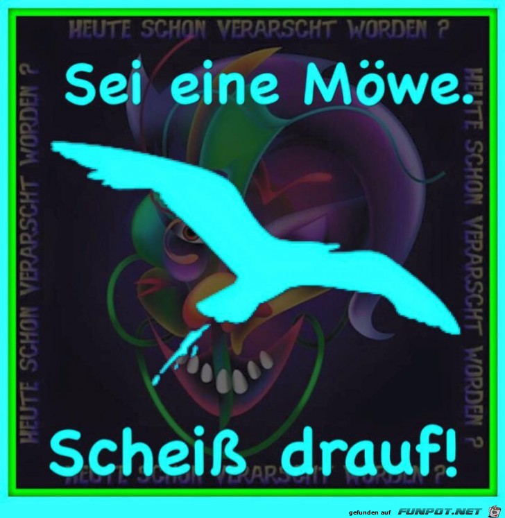 Sei eine Moewe... Sei eine Moewe...