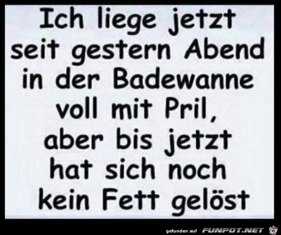 seit gestern in der Badewanne seit gestern in der Badewanne