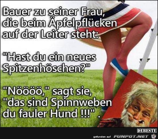 Frau auf der Leiter...... Frau auf der Leiter......