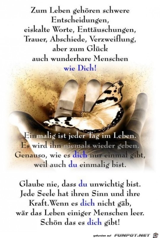 zum Leben gehoeren schwere Entscheidungen.... zum Leben gehoeren schwere Entscheidungen....