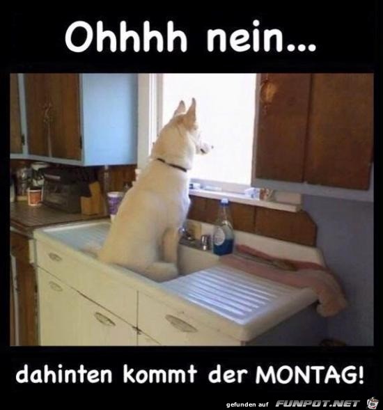 Montag Montag