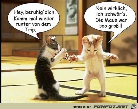 Beruhige dich Beruhige dich