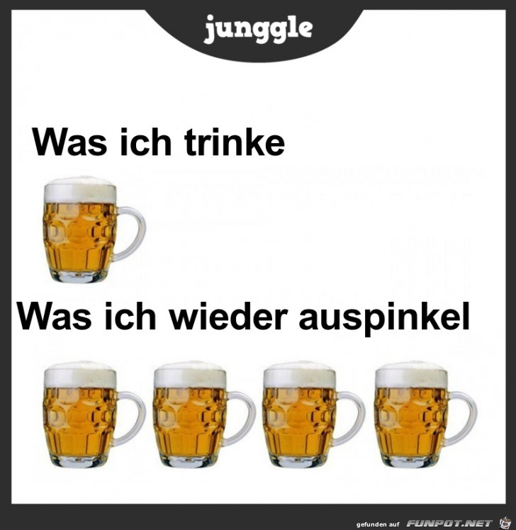 Die Wirkung von einem Bier