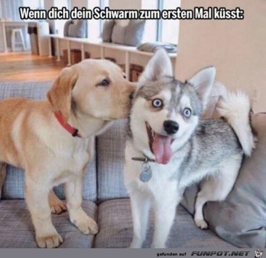 Oha Oha