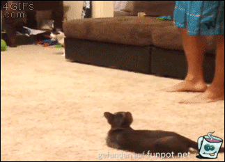 gif Erschrocken gif Erschrocken