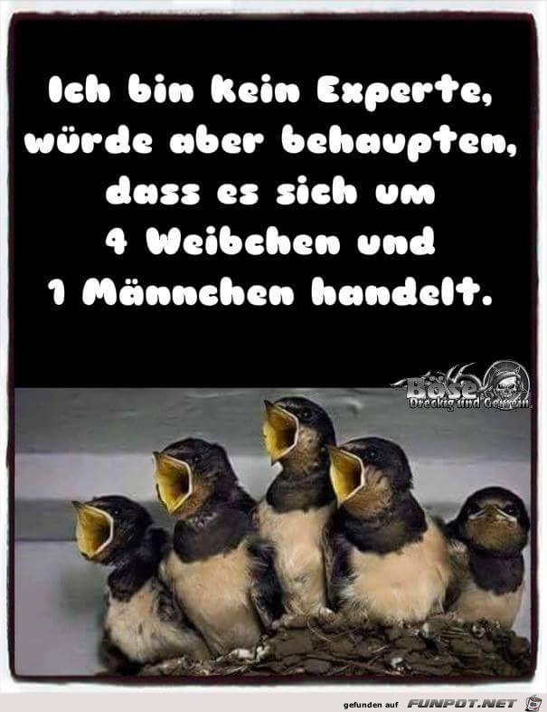 Ich bin kein Experte... Ich bin kein Experte...