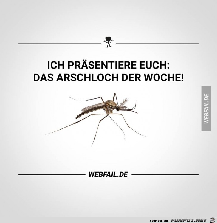 Ich praesentiere Euch Ich praesentiere Euch