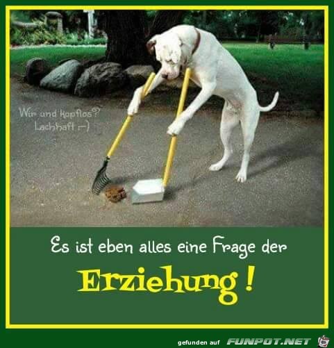 Erziehung Erziehung