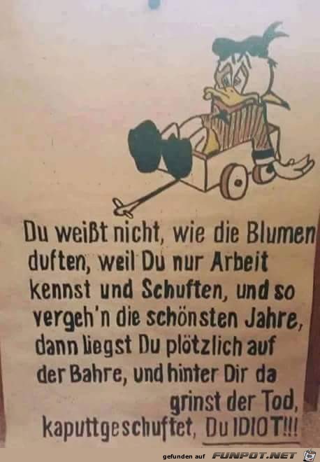 Du weisst nicht