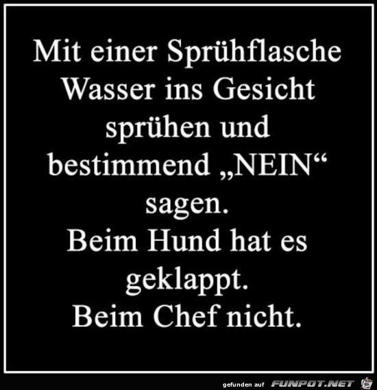 mit der Spruehflasche....