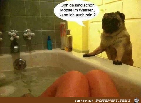 Besetzt Besetzt
