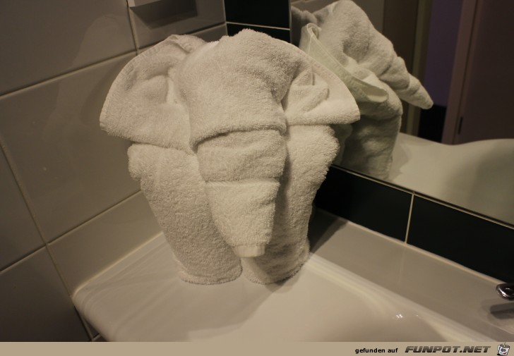 Elefant im Bad Elefant im Bad