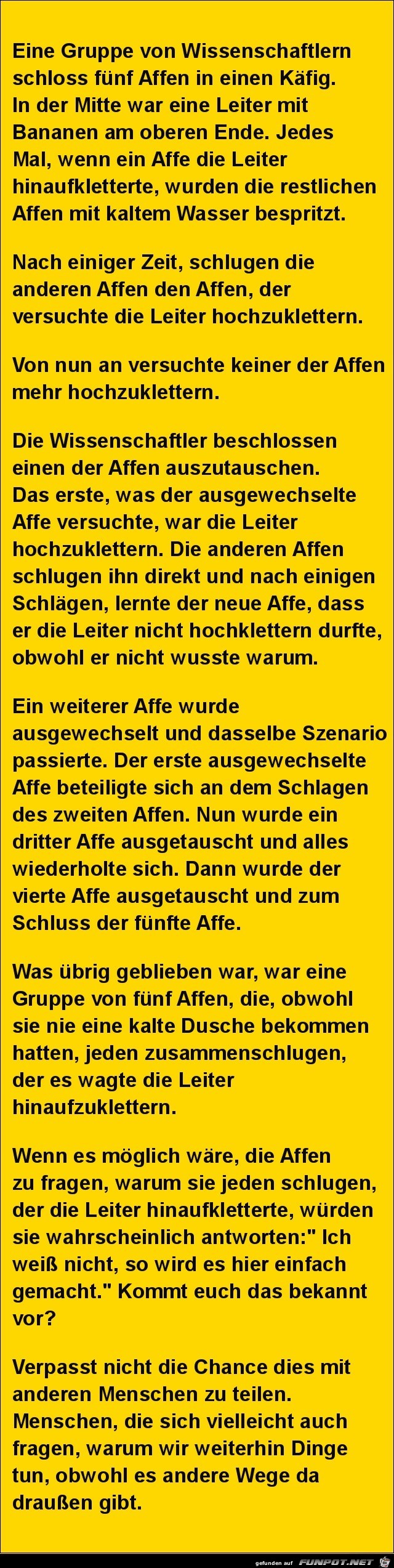 5 Affen im Kaefig..... 5 Affen im Kaefig.....