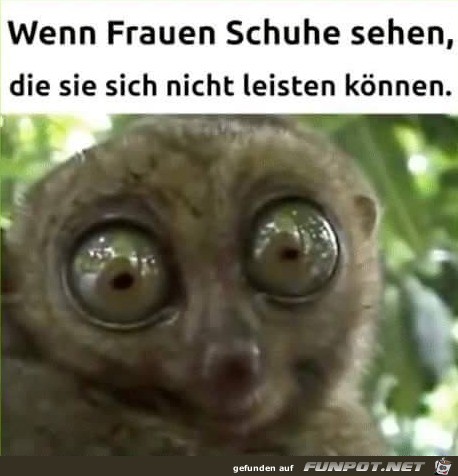 Dieser Blick