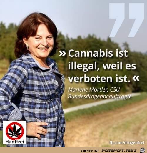illegal illegal