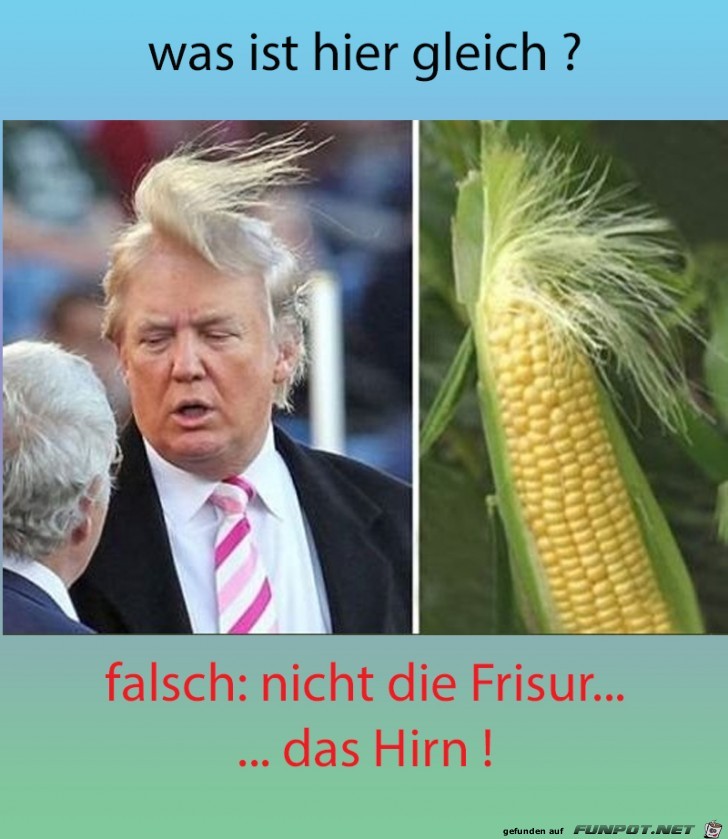 gleich gleich