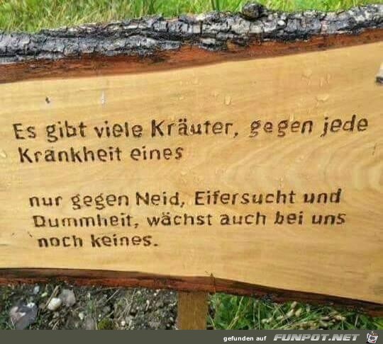es gibt viele Kraeuter..... es gibt viele Kraeuter.....