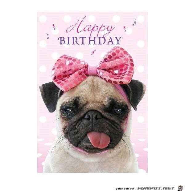 Happy Birthday Happy Birthday