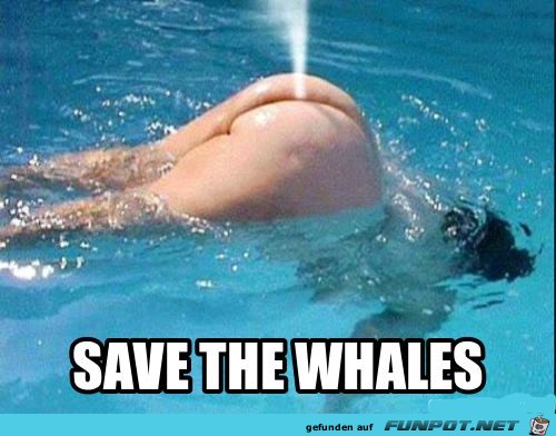 Rettet die Wale