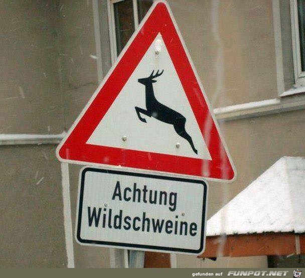 Finde den Fehler Finde den Fehler