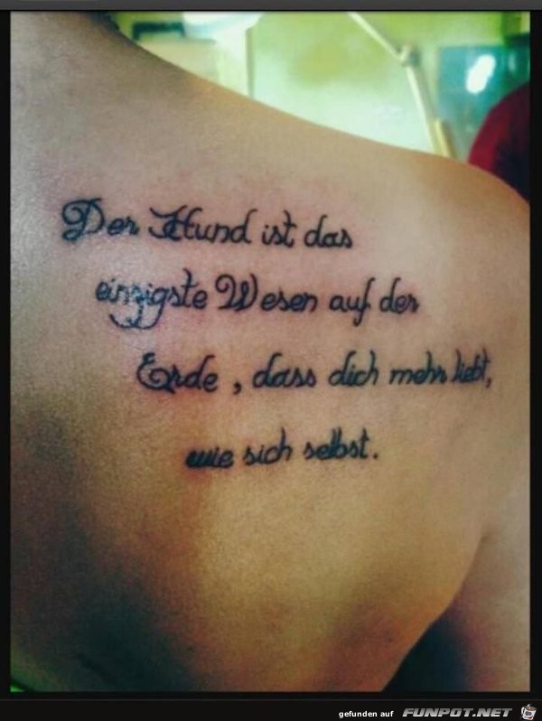 Der Hund ist das einzige Wesen... Der Hund ist das einzige Wesen...