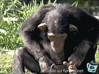 Durstlöscher Durstlöscher