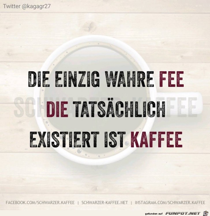 Die einzig wahre Fee Die einzig wahre Fee