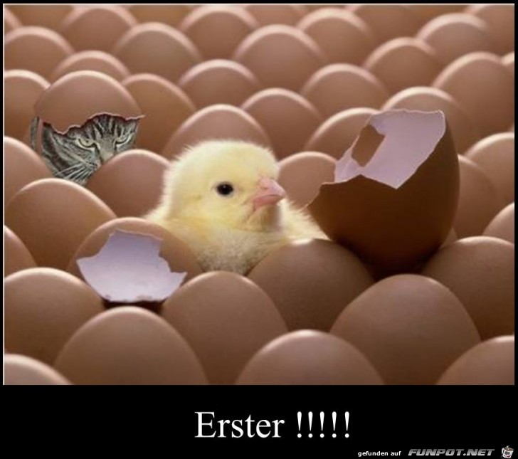 38 Erster 38 Erster