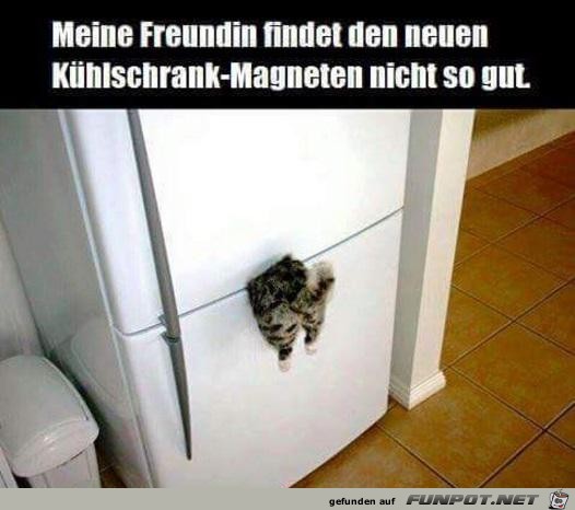 Meine Freundin findet...