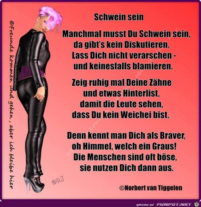 Schwein sein Schwein sein