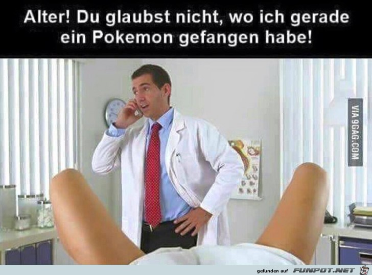 Wo man alles Pokemon findet