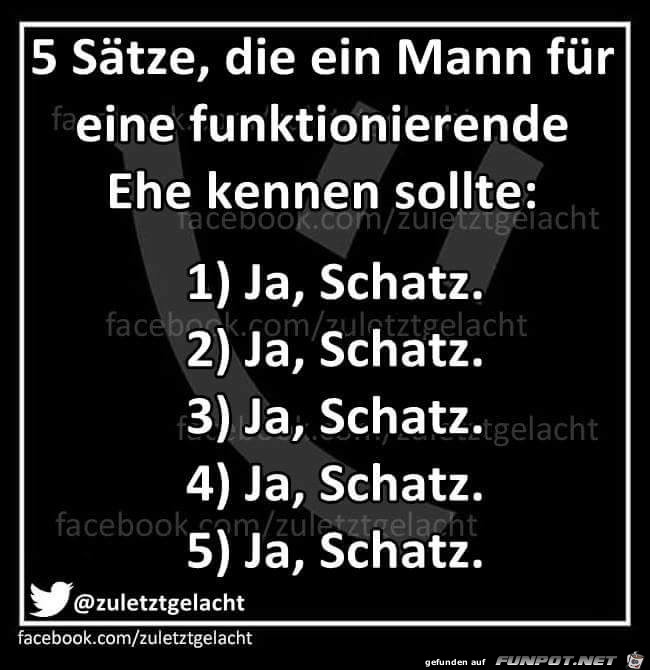 5 Saetze die ein Mann...