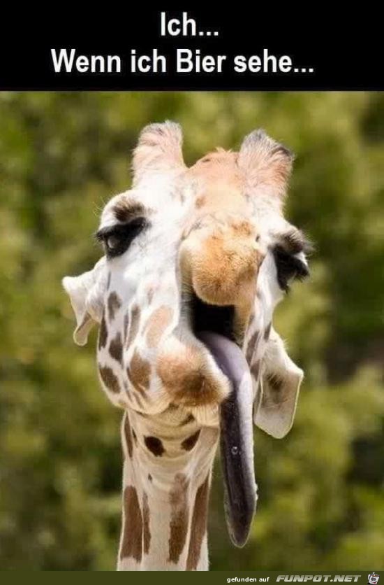 wenn ich Bier sehe..... wenn ich Bier sehe.....